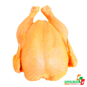 Pollo entero criollo refrigerado